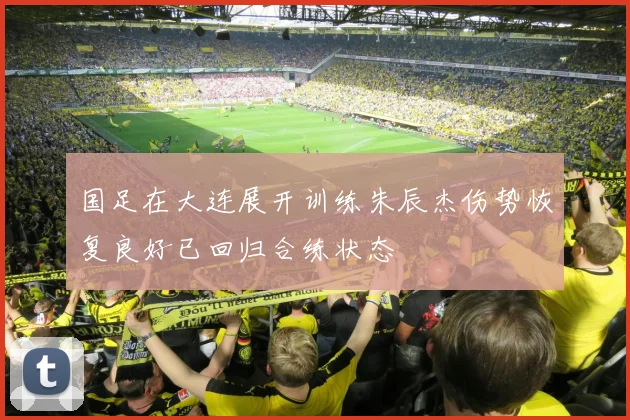 国足在大连展开训练朱辰杰伤势恢复良好已回归合练状态